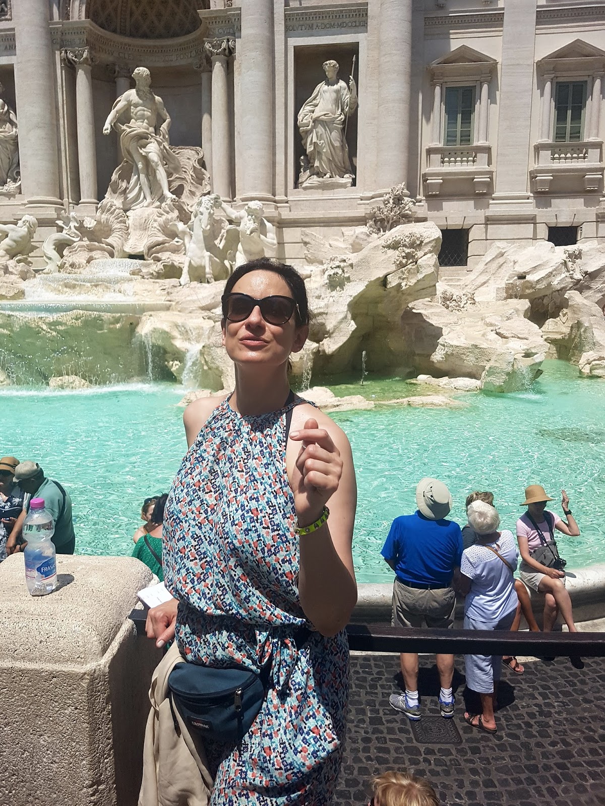 Frankfurter Stadtgefluster