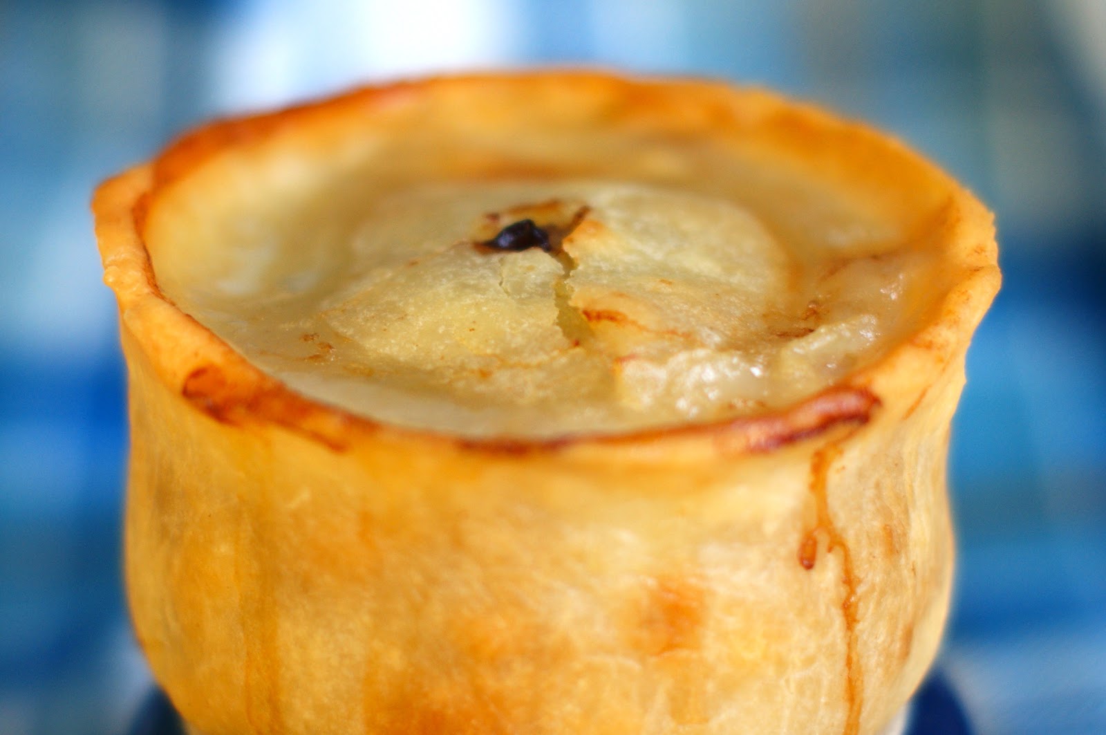 Domestic Sluttery Gluten Free Scotch Pie