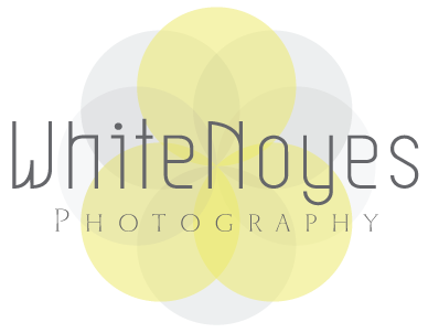 WhiteNoyes Photography