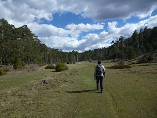 Praderas. Camino al Cerro San Felipe Praderas. Camino al Cerro San Felipe