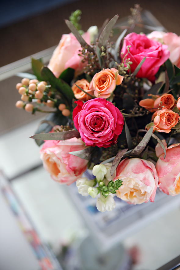 Catching Up and a Hello to 2019! Carpet Cleaning Tallahassee