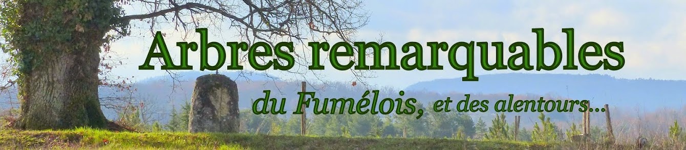 Arbres remarquables du Fumélois, et des environs...