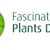 Dia Internacional do Fascínio das Plantas