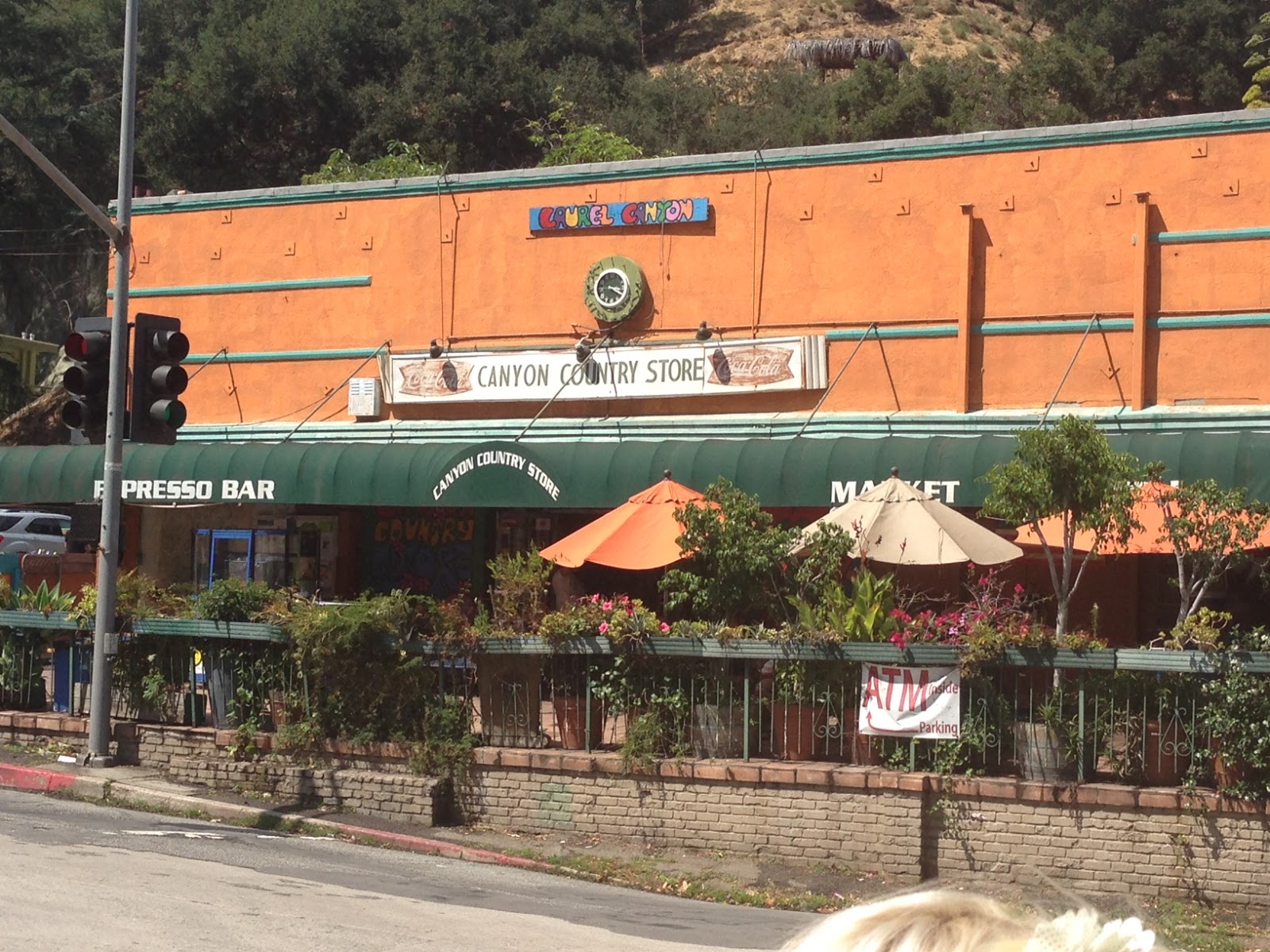 REFLECTIONS ON LIFE IN LAUREL CANYON