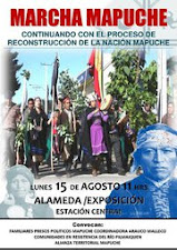 Marcha Mapuche