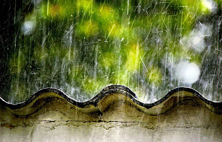 Rain Photography HD wallpapers