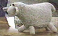 Es la oveja que acompaño a Balki de Mypos