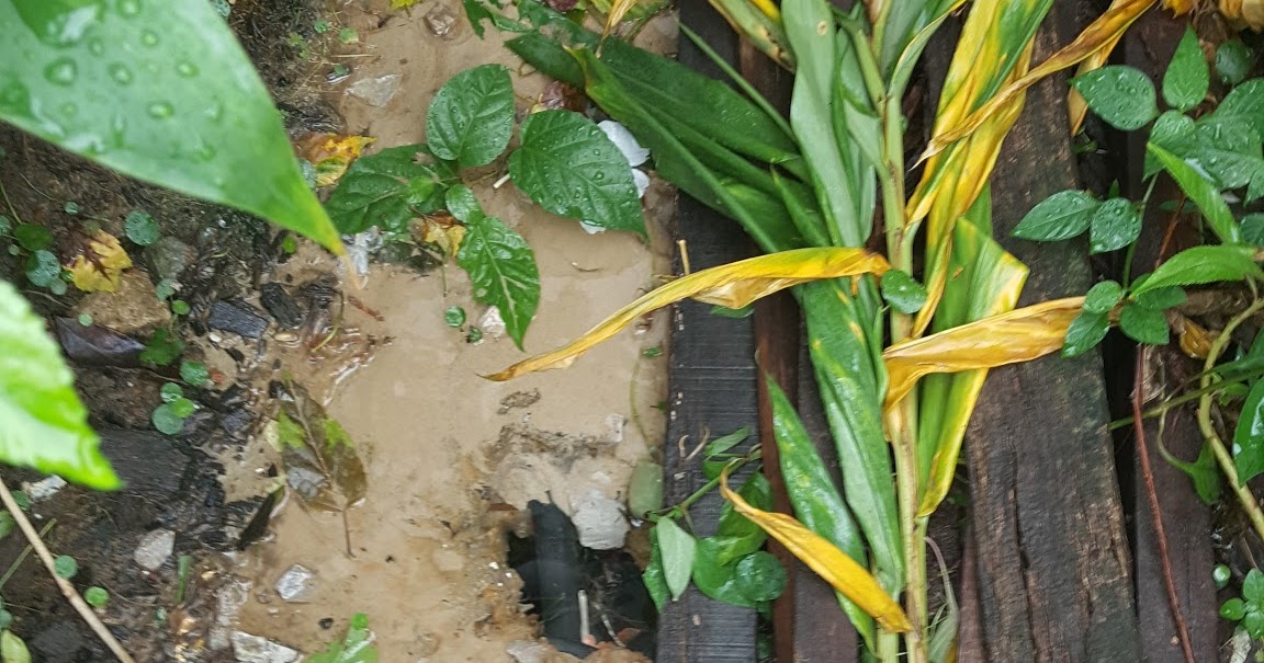 Contoh surat aduan ringkas kebocoran paip bawah tanah