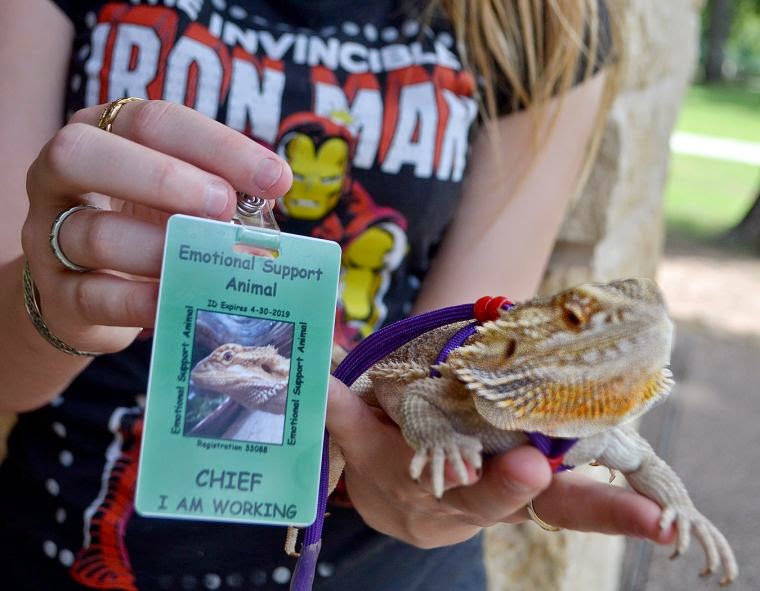 Four legged friends (and enemies) Girl and her family get fake service