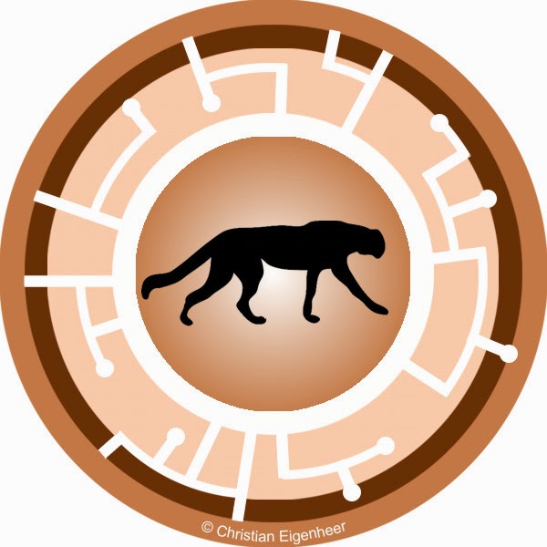 it's all fun and games: wild krattness!