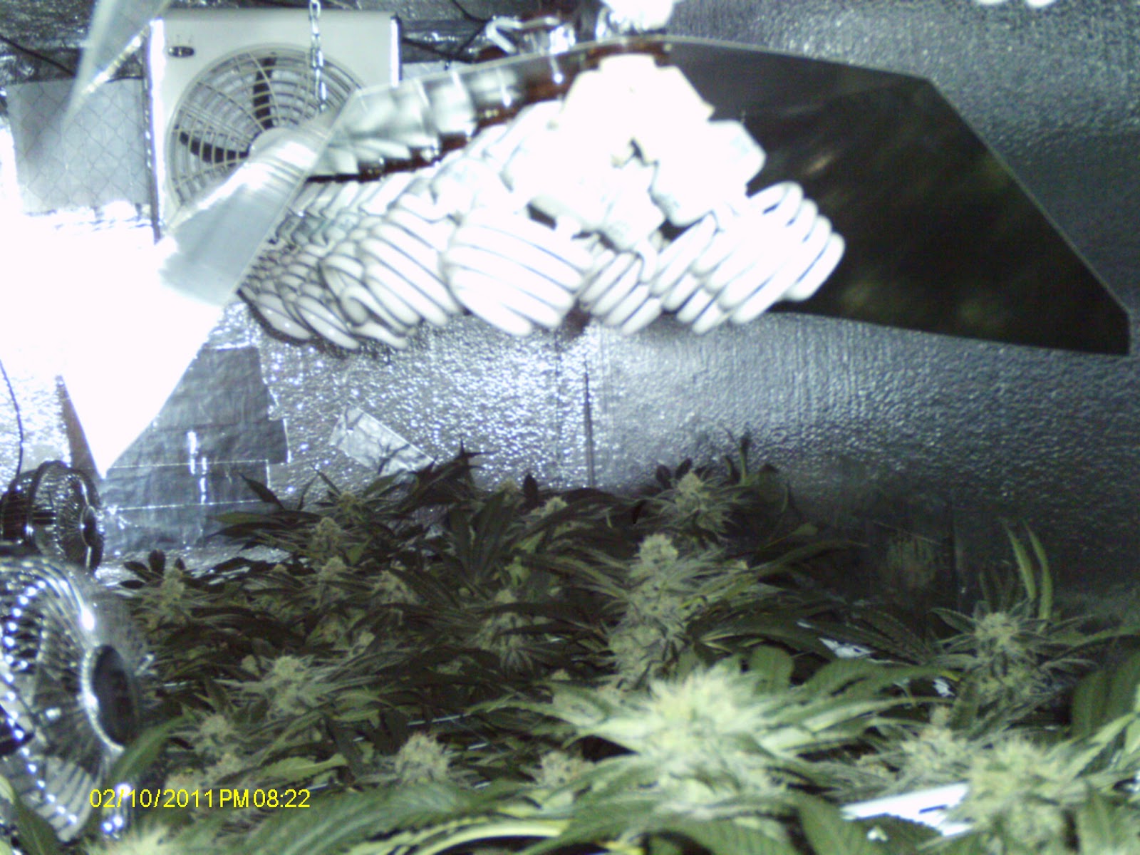 Craigslist Denver Grow Lights