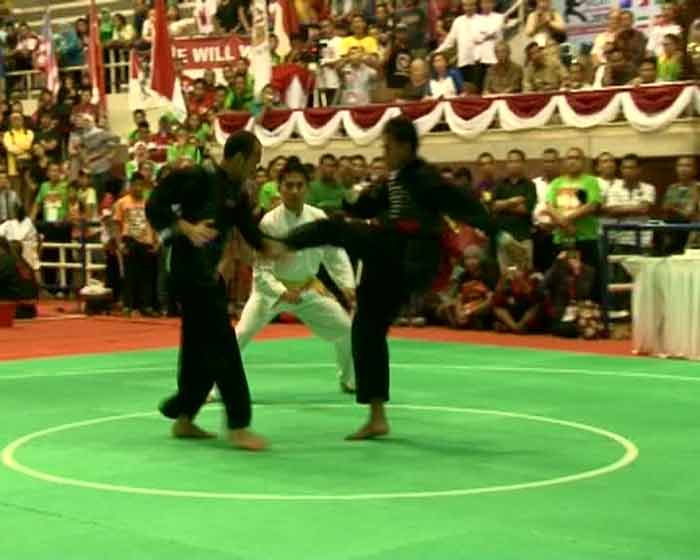 14th World Championship Pencak Silat Martial Art Philippines (7)
