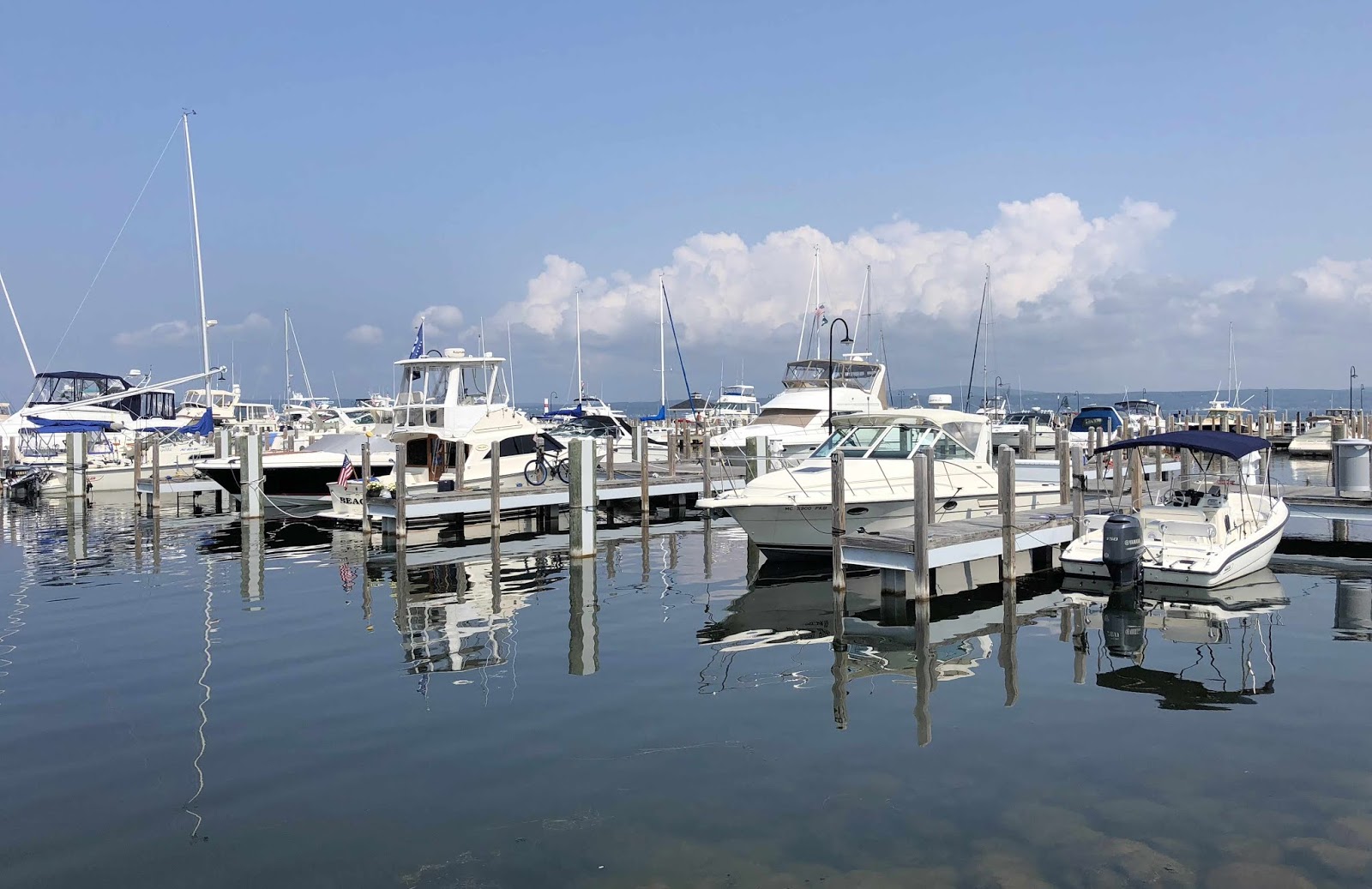 Wandering His Wonders Petoskey Bay Festival