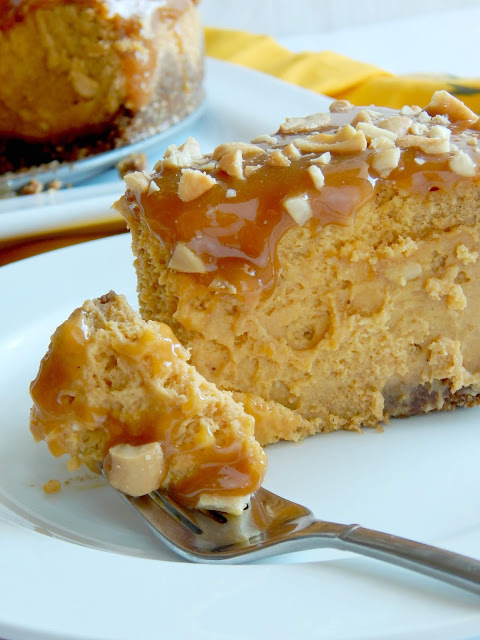 Caramel Cashew Pumpkin Cheesecake...mark this one #pumpkinspice lovers!  A perfect dessert for Thanksgiving.  Crispy gingerbread crust, a sweet creamy pumpking cheesecake filling, plus topped with drippy caramel and salty cashews. (sweetandsavoryfood.com)