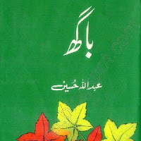 Baagh Novel by Abdullah Hussain pdf Download Read Online