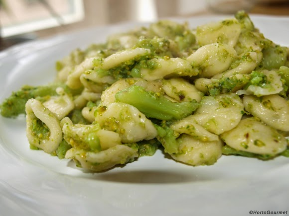Orecchiette con brócoli HortoGourmet 