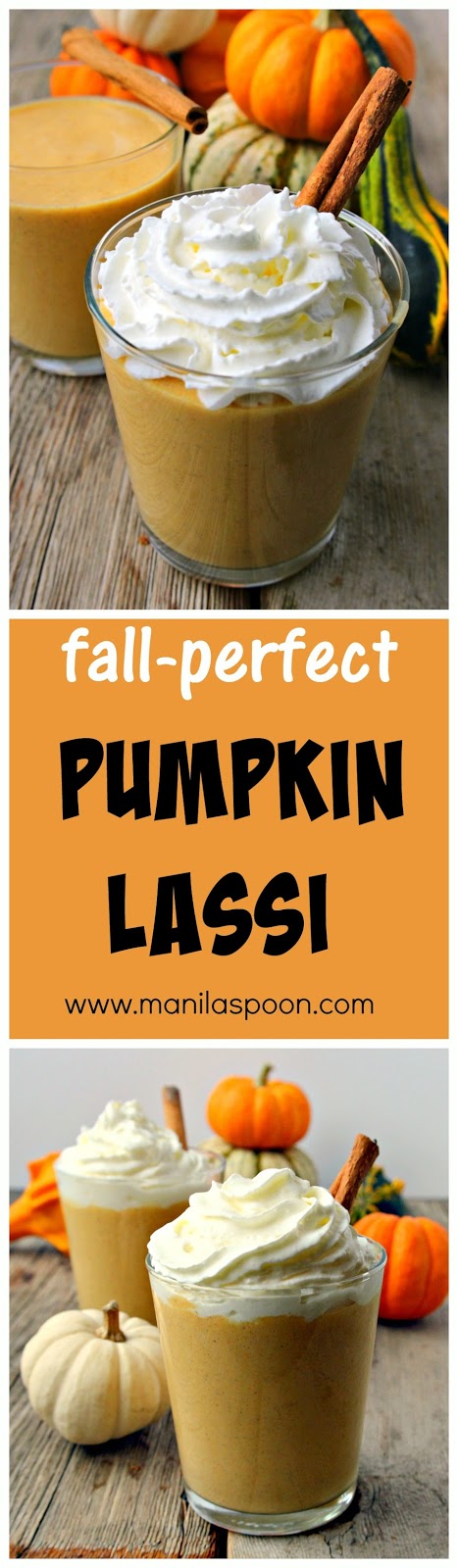 This delicious pumpkin and yogurt drink is flavored with your favorite fall spices. Turn it into a sweet treat by adding some whipped cream on top! Yummy Pumpkin Cinnamon Lassi!