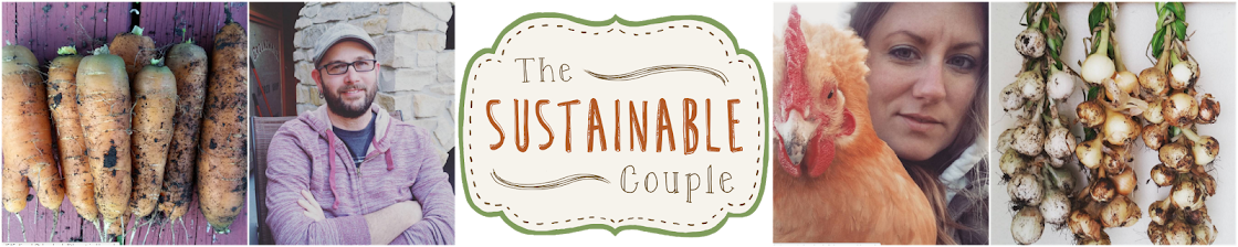 The Sustainable Couple