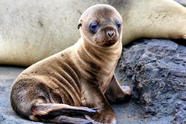 أجمل 10 مناطق للحياة البرية