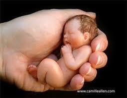 Berat Bayi Lahir Rendah (BBLR)