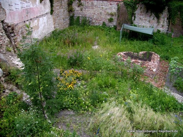 Regensburger Tagebuch Amaro Ameise der berühmte Gärtner von Regensburg