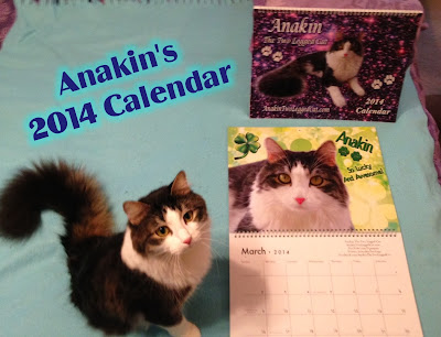 Anakin The Two Legged Cat 2014 Calendar