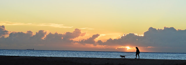 queensland morning