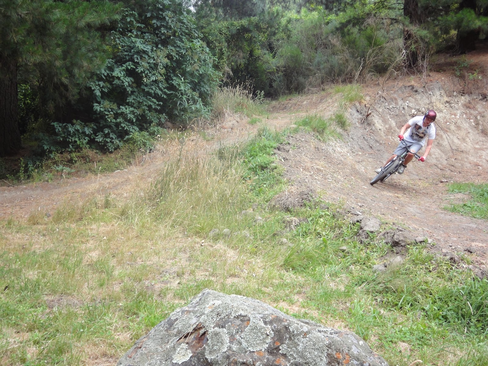 Haven mountain bike park sale