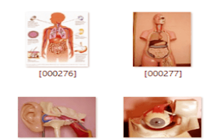 Kumpulan Model Gambar Alat Peraga Pembelajaran Siswa Semua Jenjang
Sekolah