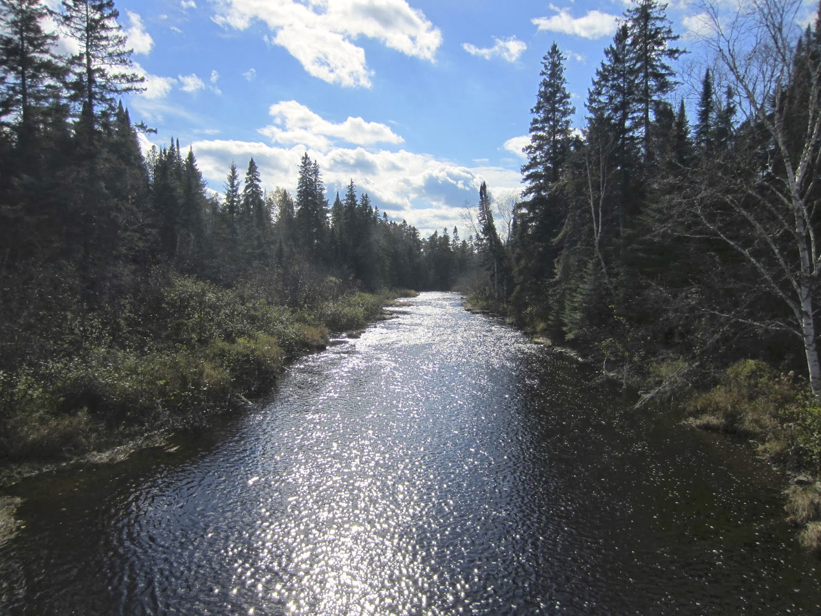 Prairie Girl in the Big, Scary World The Northern Maine Woods