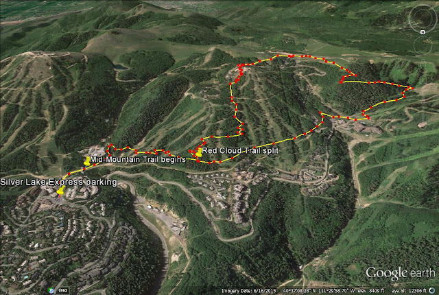 Hiking the Red Cloud Trail Deer - Redcloudtrail1 