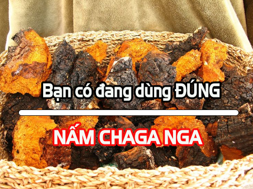 ban-co-dang-dung-dung-nam-chaga-jan1318.png