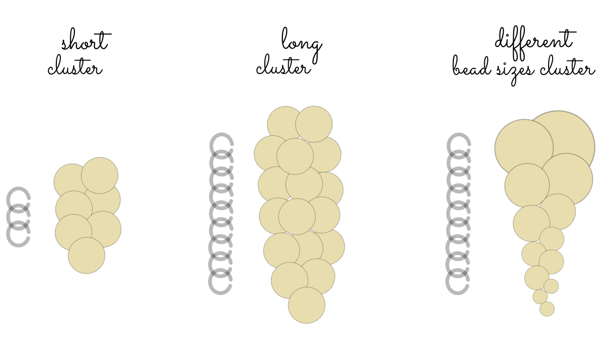 beads cluster types