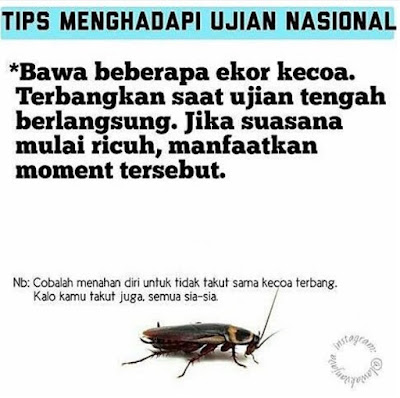 kalau saya mending enggak