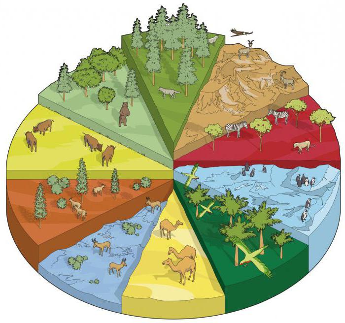 Els ecosistemes