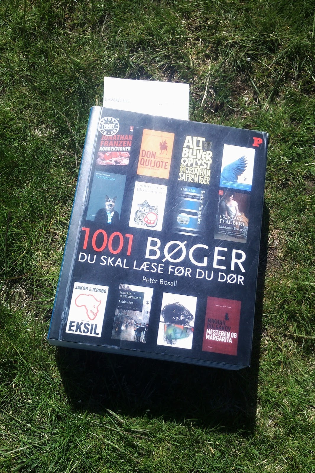 Bemyndige episode Ikke kompliceret Læselyst: 1001 bøger før jeg dør: En udpluk fra en bookaholics hverdag