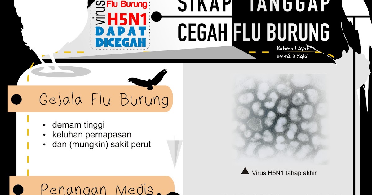 Poster Iklan Layanan Masyarakat "Flu Burung" ~ Media Rahmad