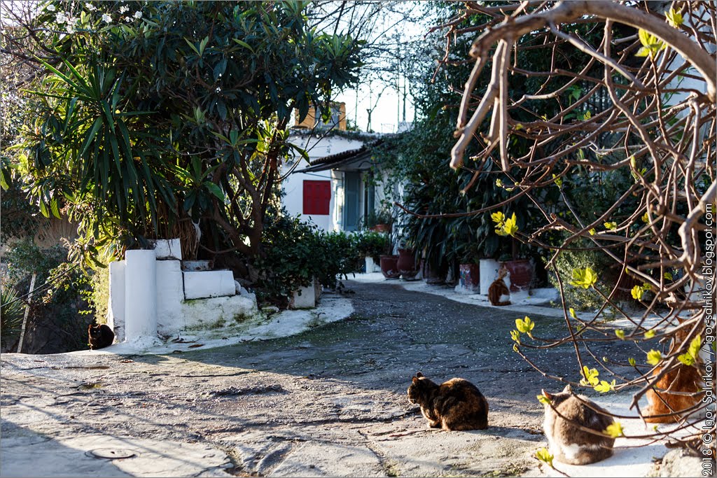 Афины, Анафиотика, Αναφιώτικα, Anafiotika, Athens, Αθηνα Афины, Анафиотика, Αναφιώτικα, Anafiotika, Athens, Αθηνα
