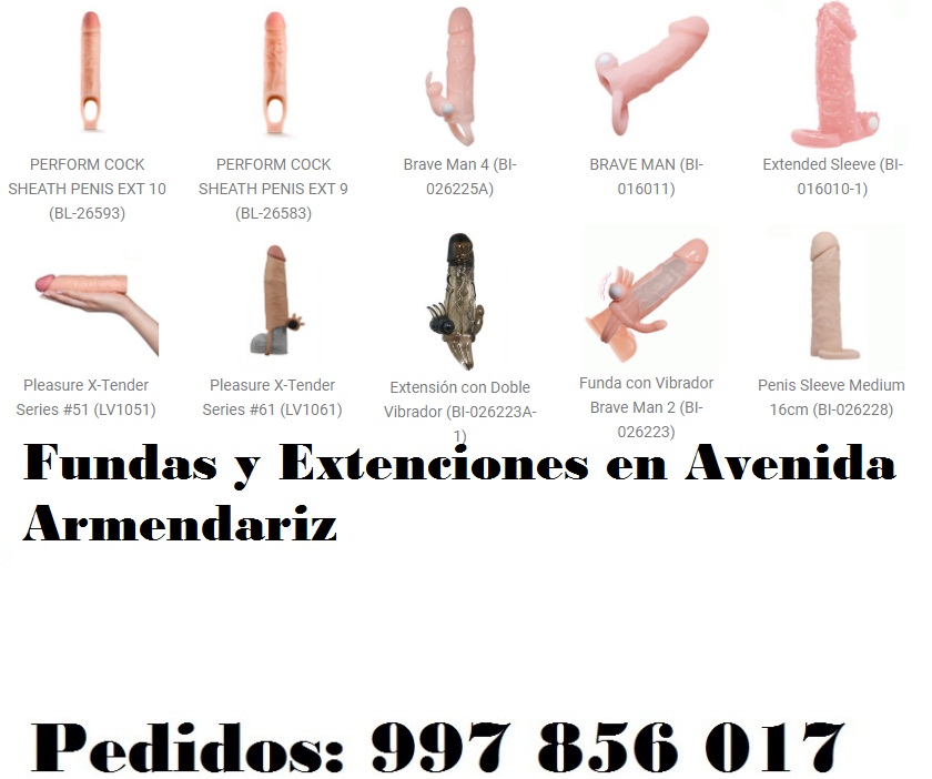 en Avenida Armendariz