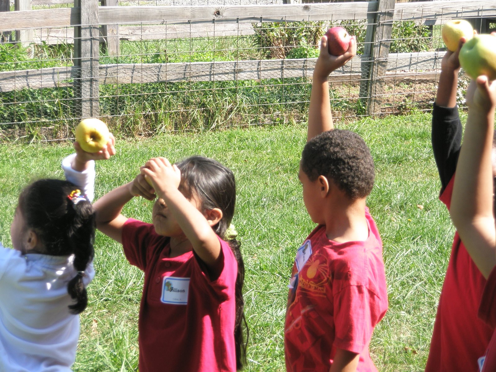  Organized Chaos: Teaching Impulse Control Motiv 