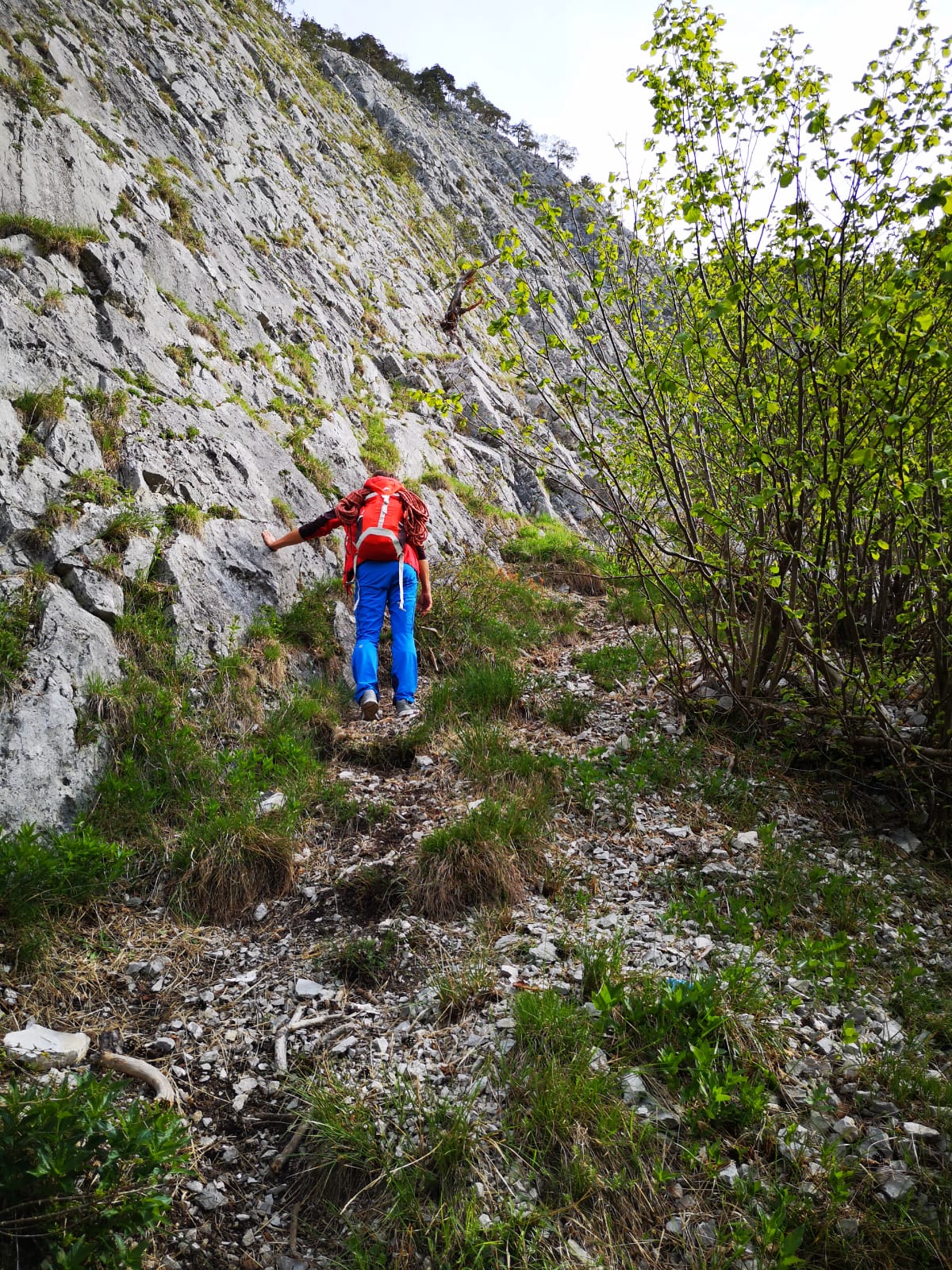 3753533049ac0a56acdc15f6c1526bc4 Jpg 564 845 Decor Vase Home