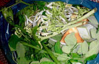 Cara Membuat Gulee Rampoe Khas Aceh Gulee Rampoe