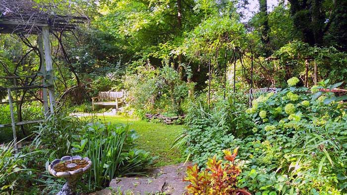 Early morning wet garden