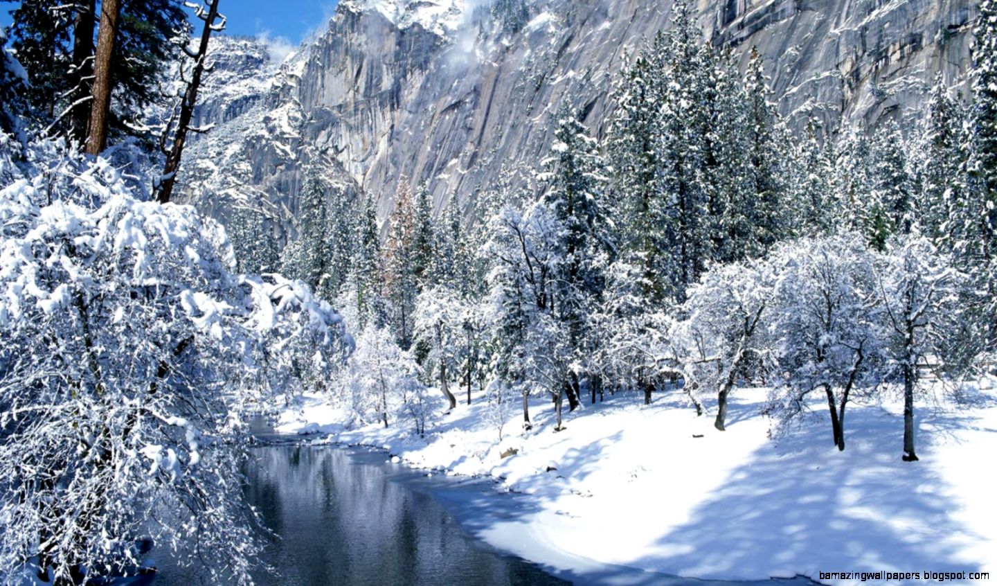 Beautiful Winter Nature Photos