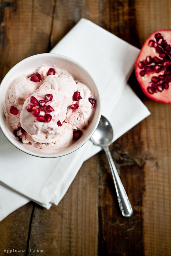 Frozen Joghurt mit Blutorange und Granatapfel - applewoodhouse.de