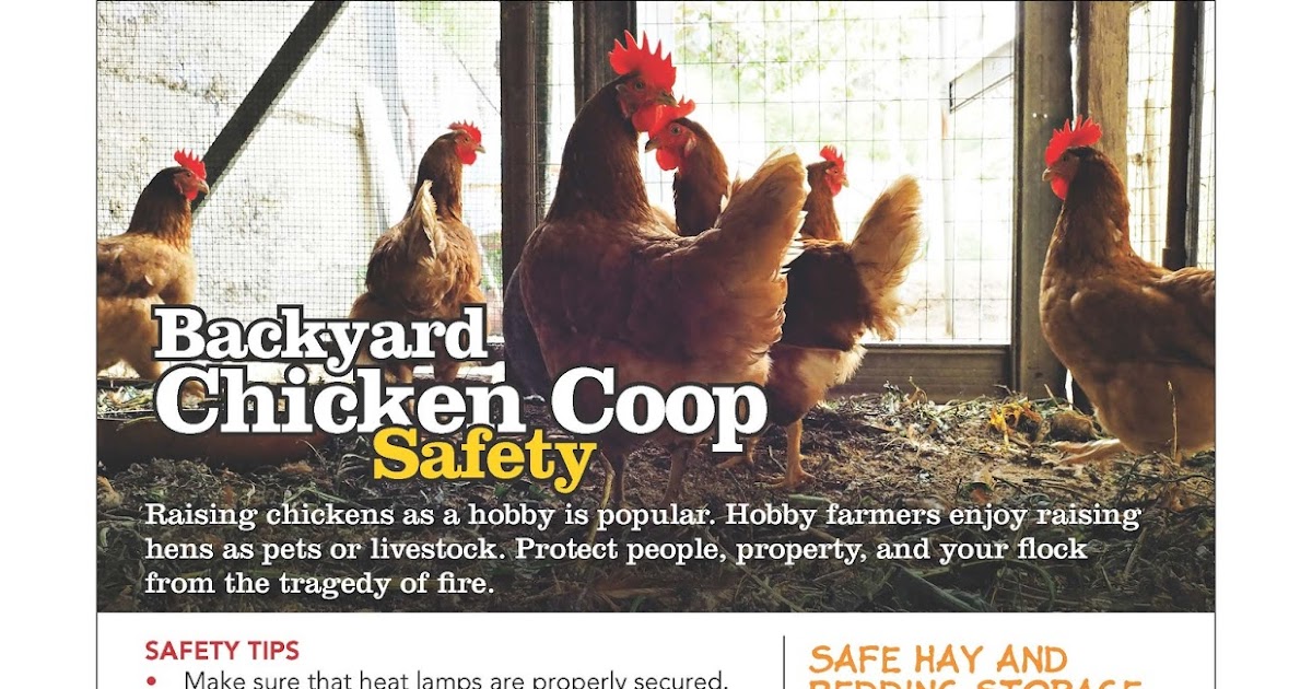 Village of Bellevue NFPA Chicken Coop Safety