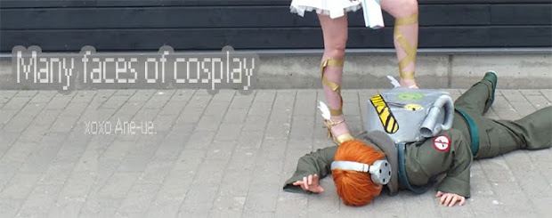 Many faces of cosplay