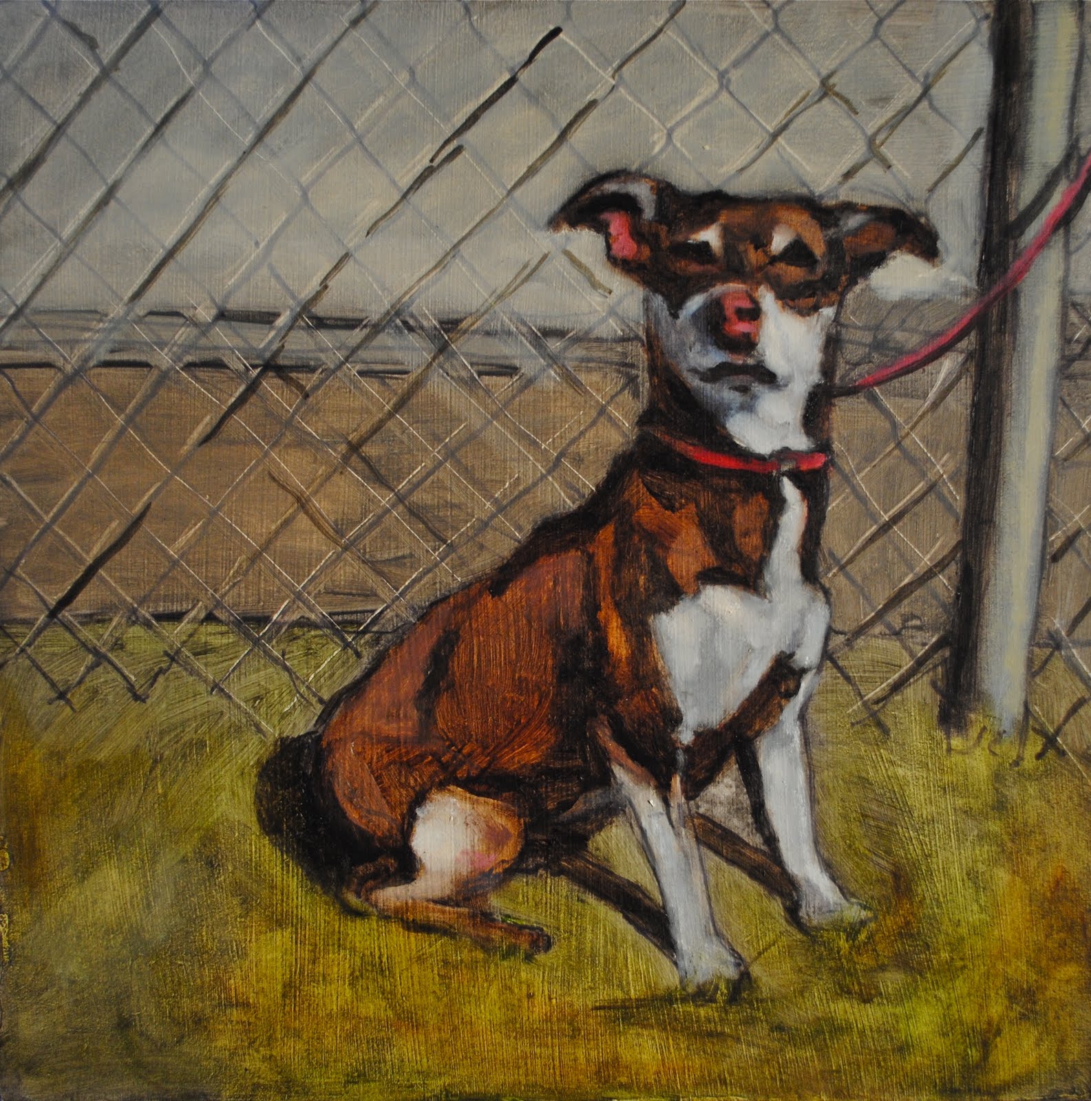 Two Dogs and a Novena An Act of Dog Wall of Shame, Portrait of Hope