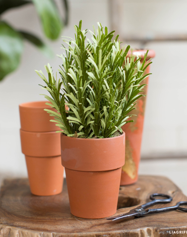 4 Diy para crear plantas que no podrás creer que son artificiales