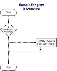 IF Sample Program 1 | introduction to programming